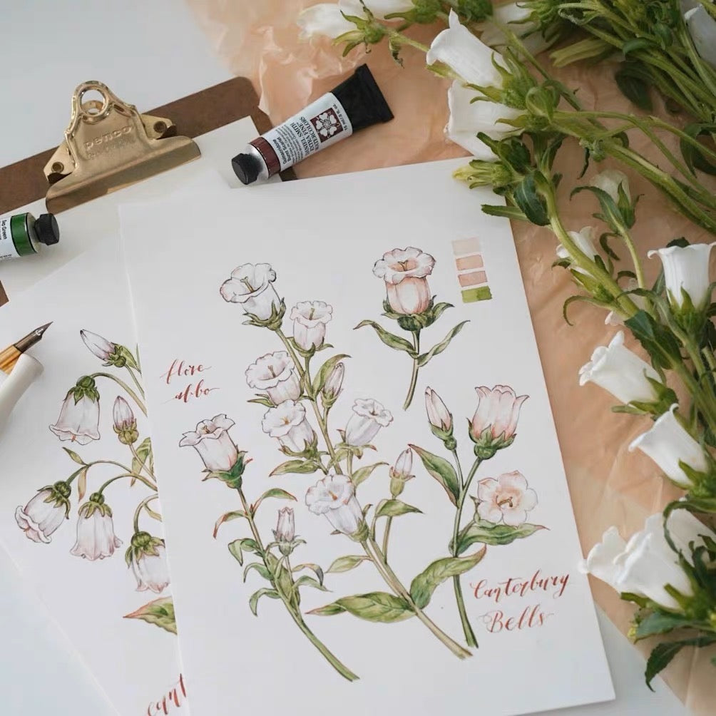 QQY Studio - Vol.8 Campanula Medium | 4.5cm PET Tape| Release Paper