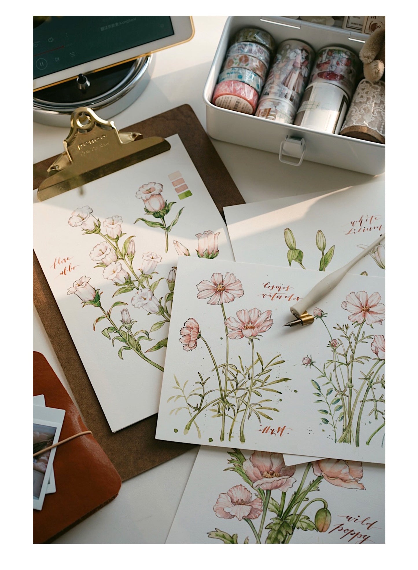 QQY Studio - Vol.8 Campanula Medium | 4.5cm PET Tape| Release Paper