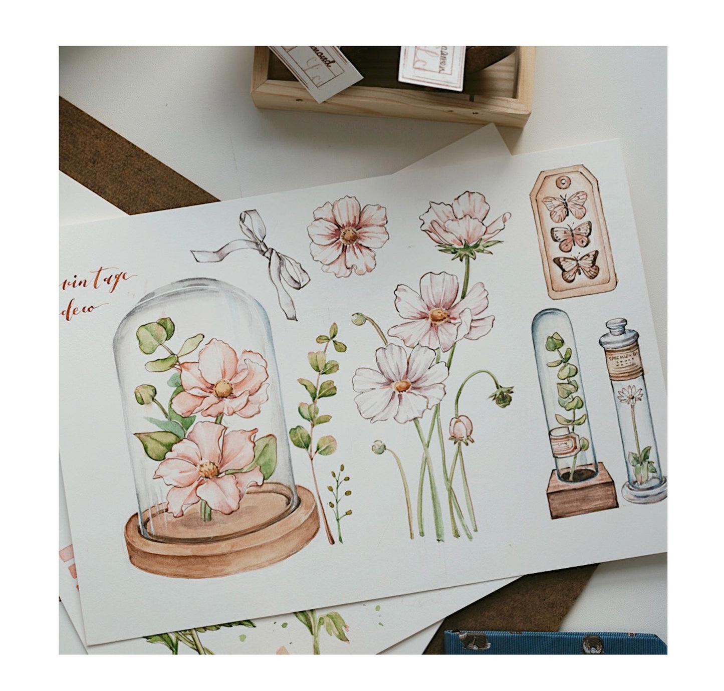 QQY Studio - Vol.8 Campanula Medium | 4.5cm PET Tape| Release Paper