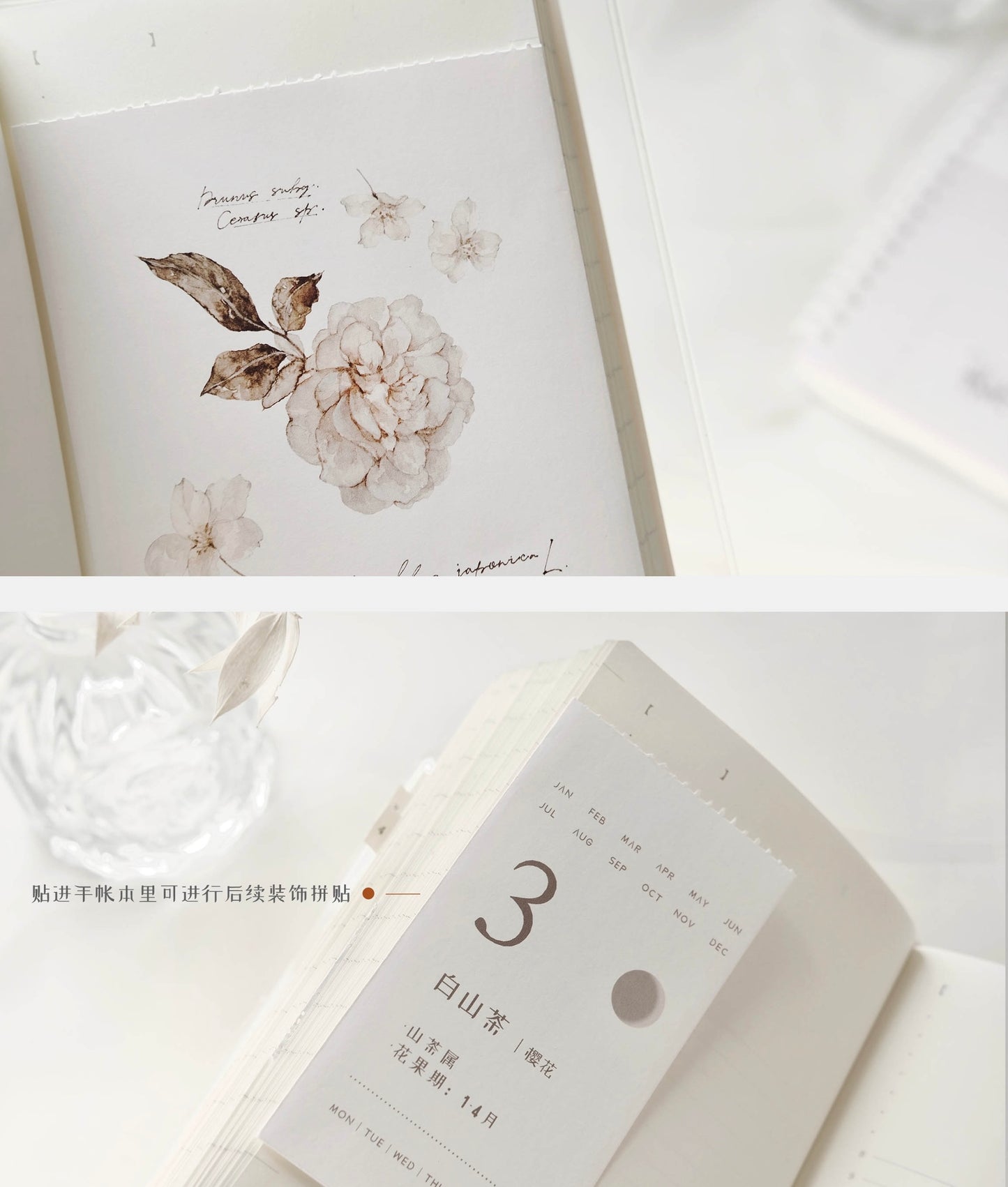 Freckles Tea - Vol.3 Plants Calendar | Ephemera Paper
