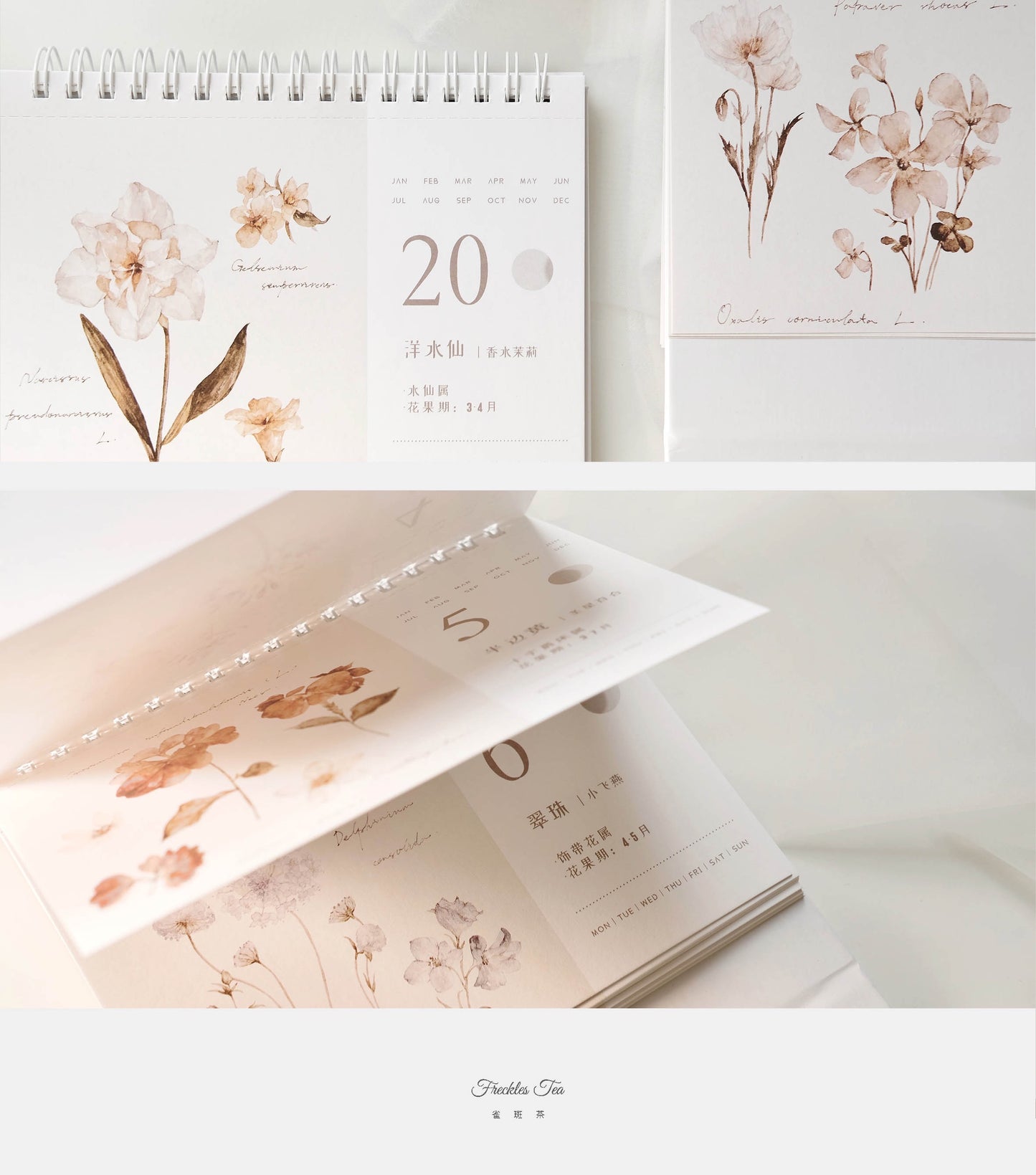 Freckles Tea - Vol.3 Plants Calendar | Ephemera Paper