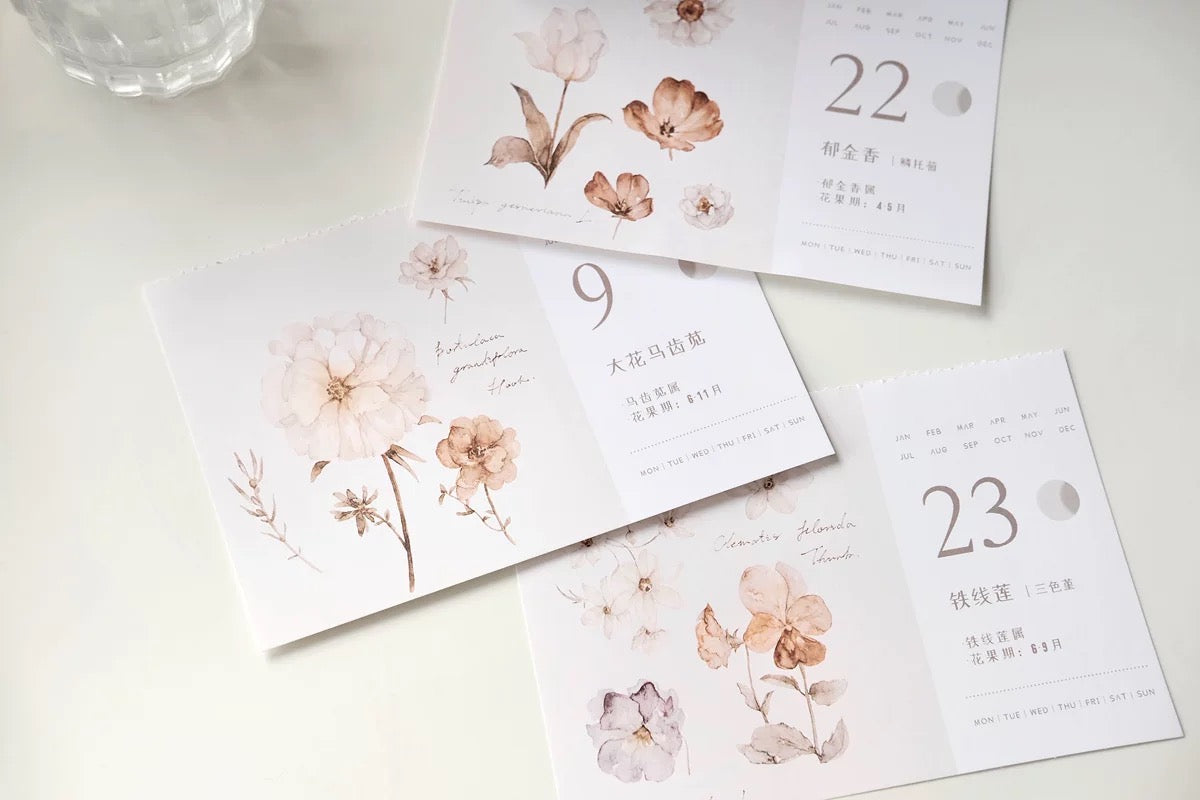 Freckles Tea - Vol.3 Plants Calendar | Ephemera Paper