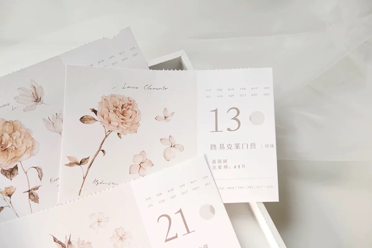 Freckles Tea - Vol.3 Plants Calendar | Ephemera Paper