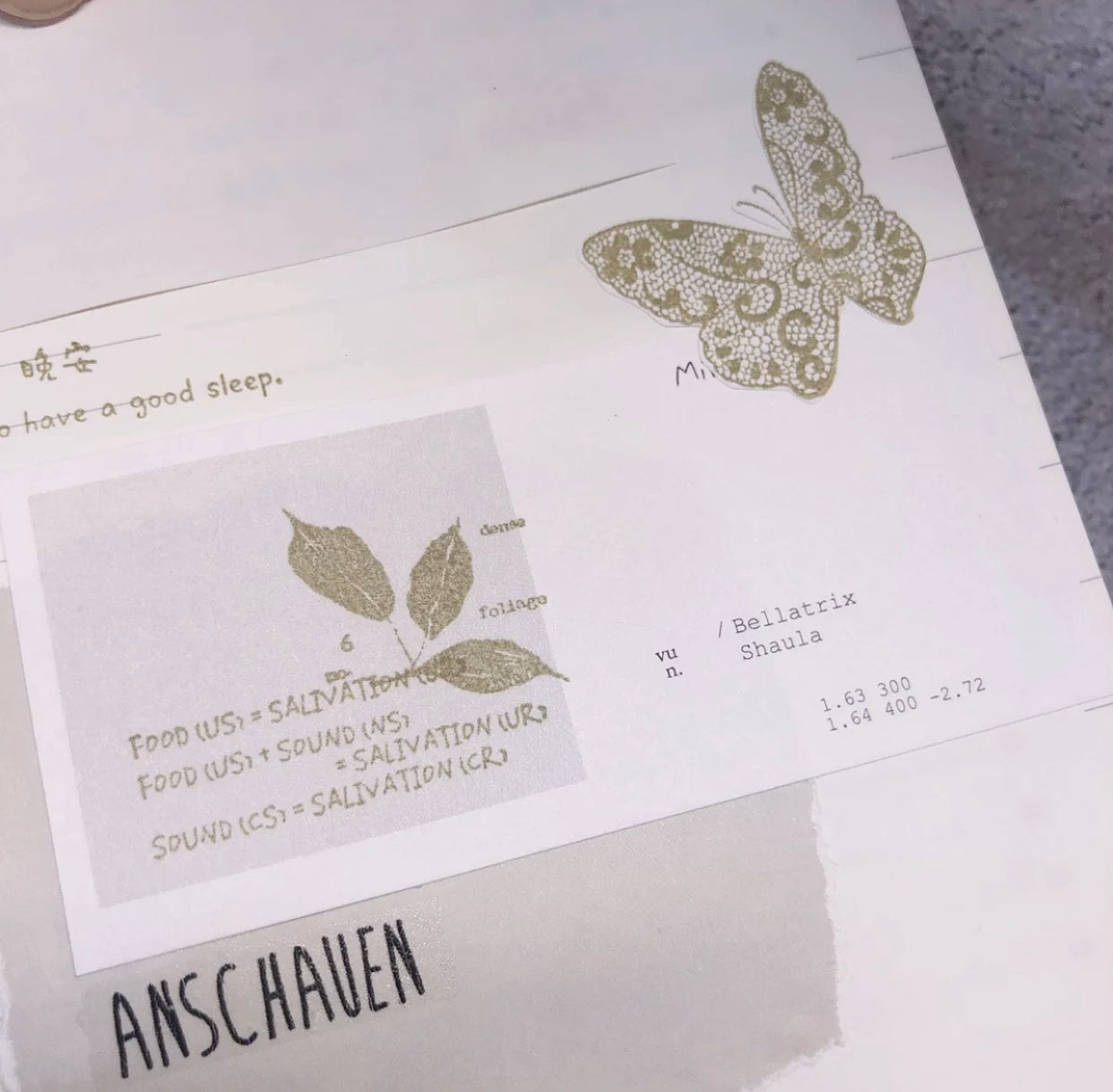 XW Studio - Lace Butterfly | Rubber Stamps