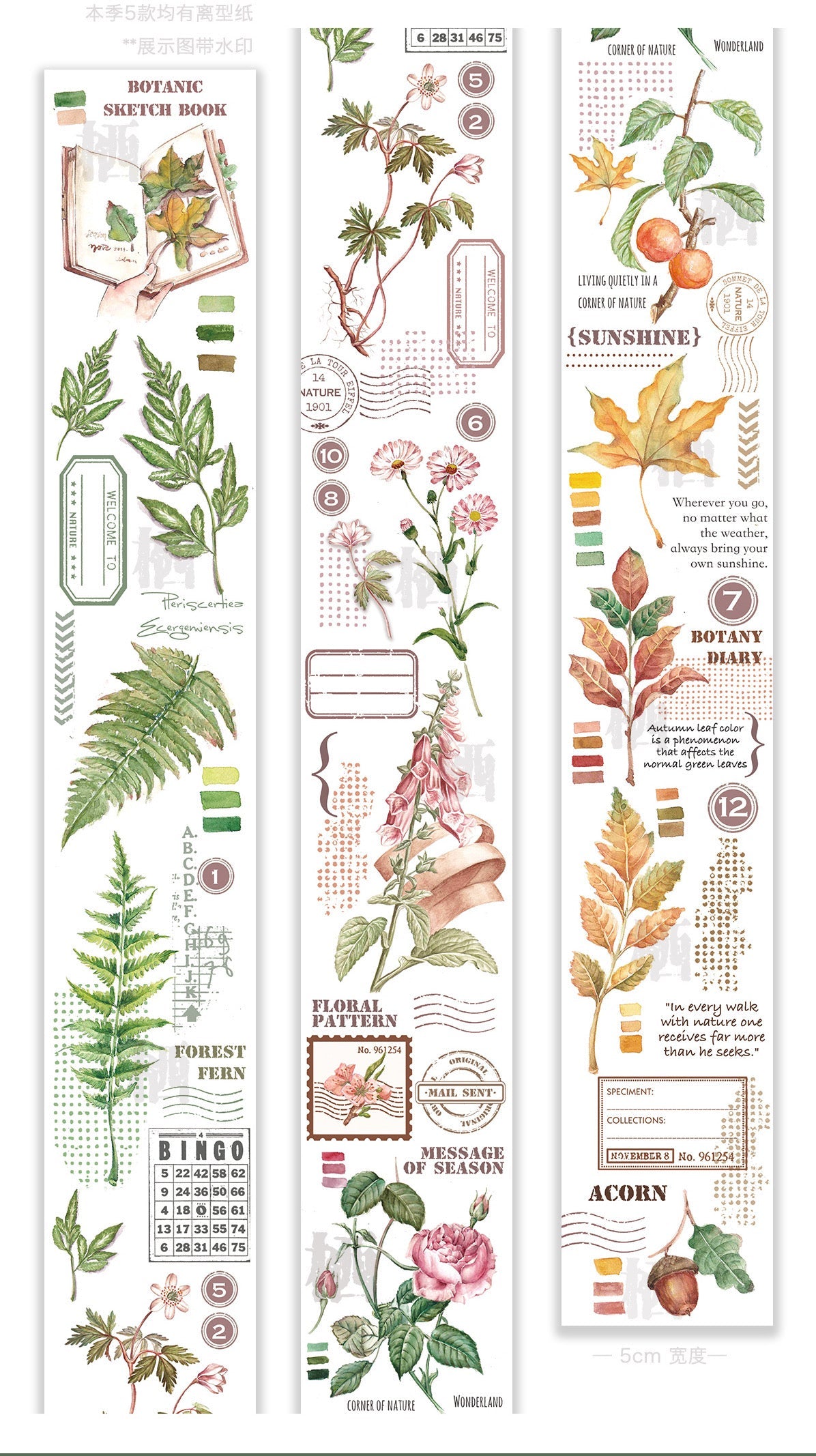 QQY Studio - 5cm Botanic Diary | Washi Tape| Release Paper