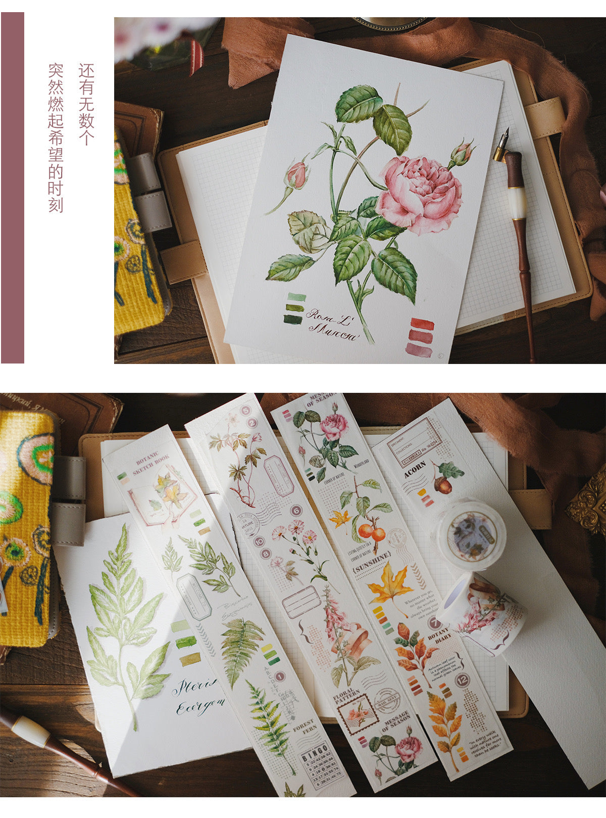 QQY Studio - 5cm Botanic Diary | Washi Tape| Release Paper