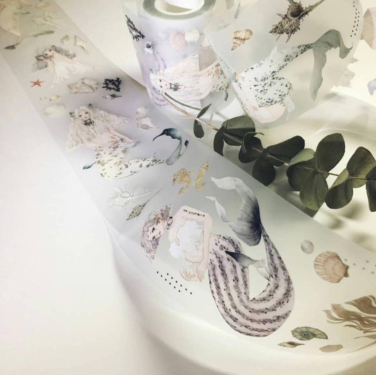 Somesortof.fern - 7cm Thetis | PET Tape | Release Paper