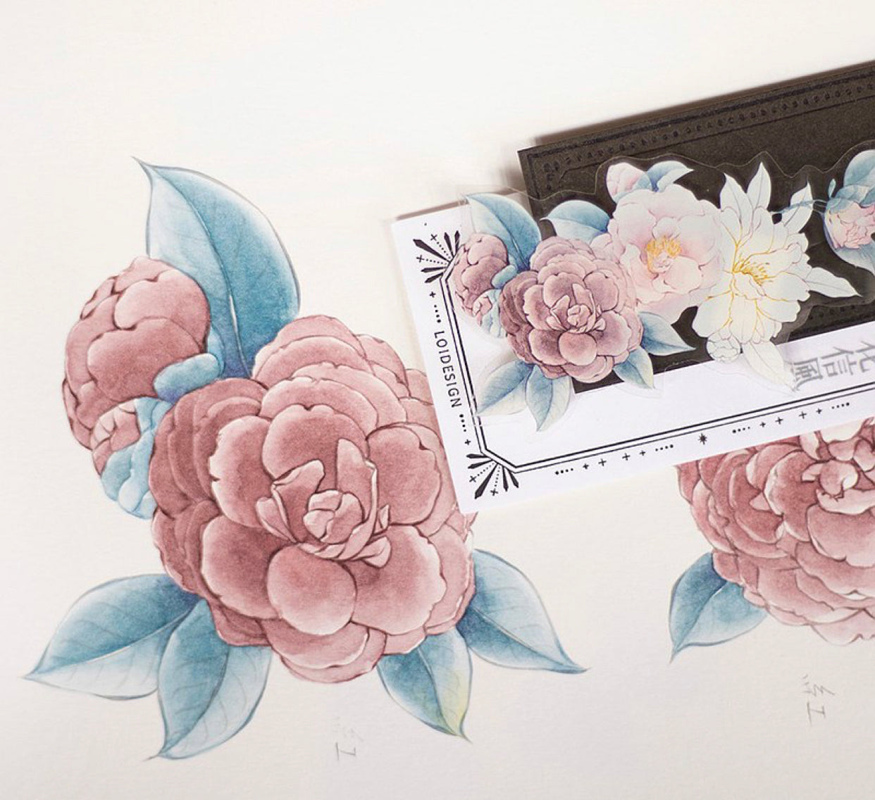 Loidesign - Camellia | 5cm PET Tape | Release Paper