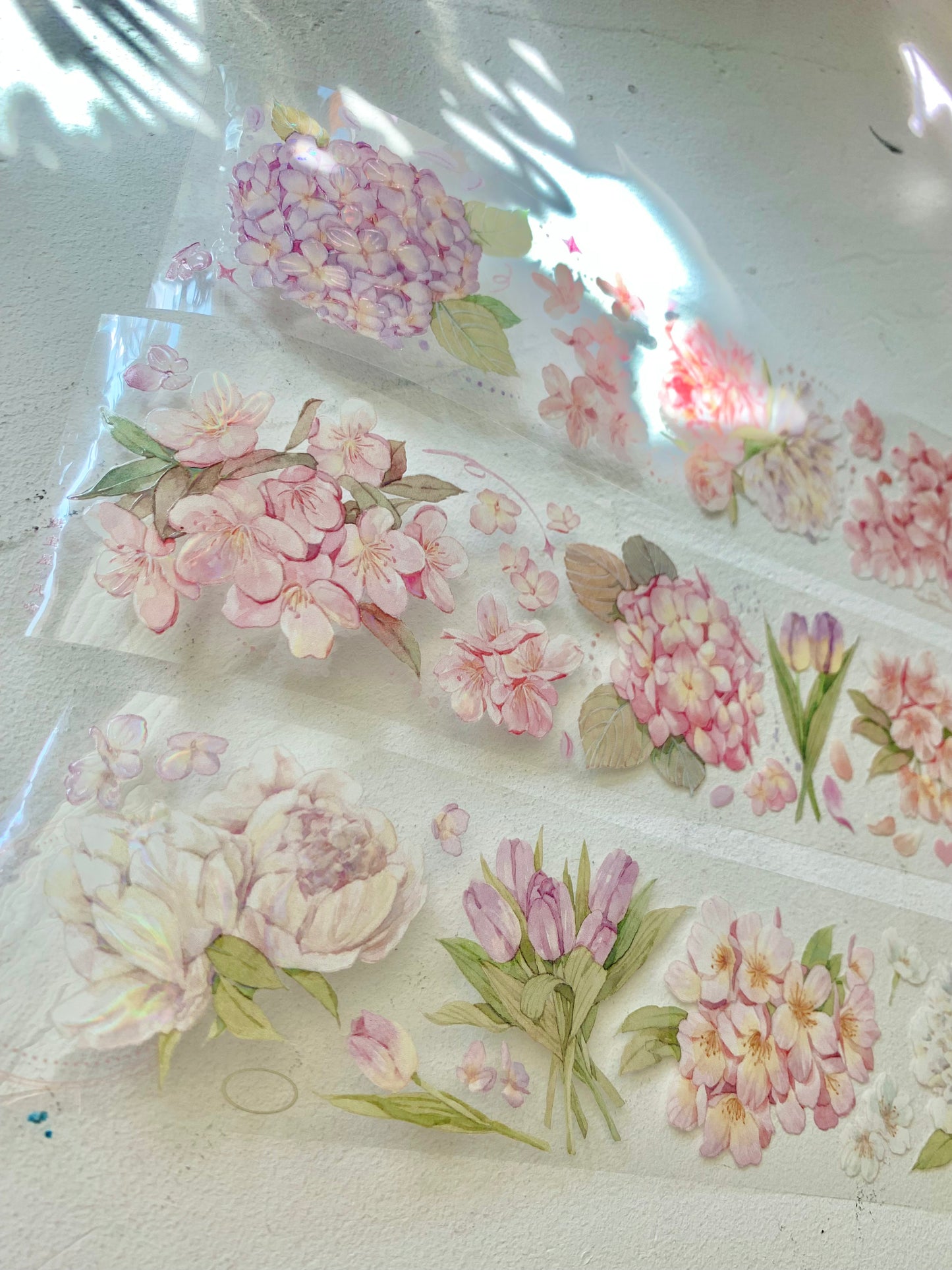 Hakiso Studio - 5.5cm The Wind | Iridescent PET Tape | Release Paper