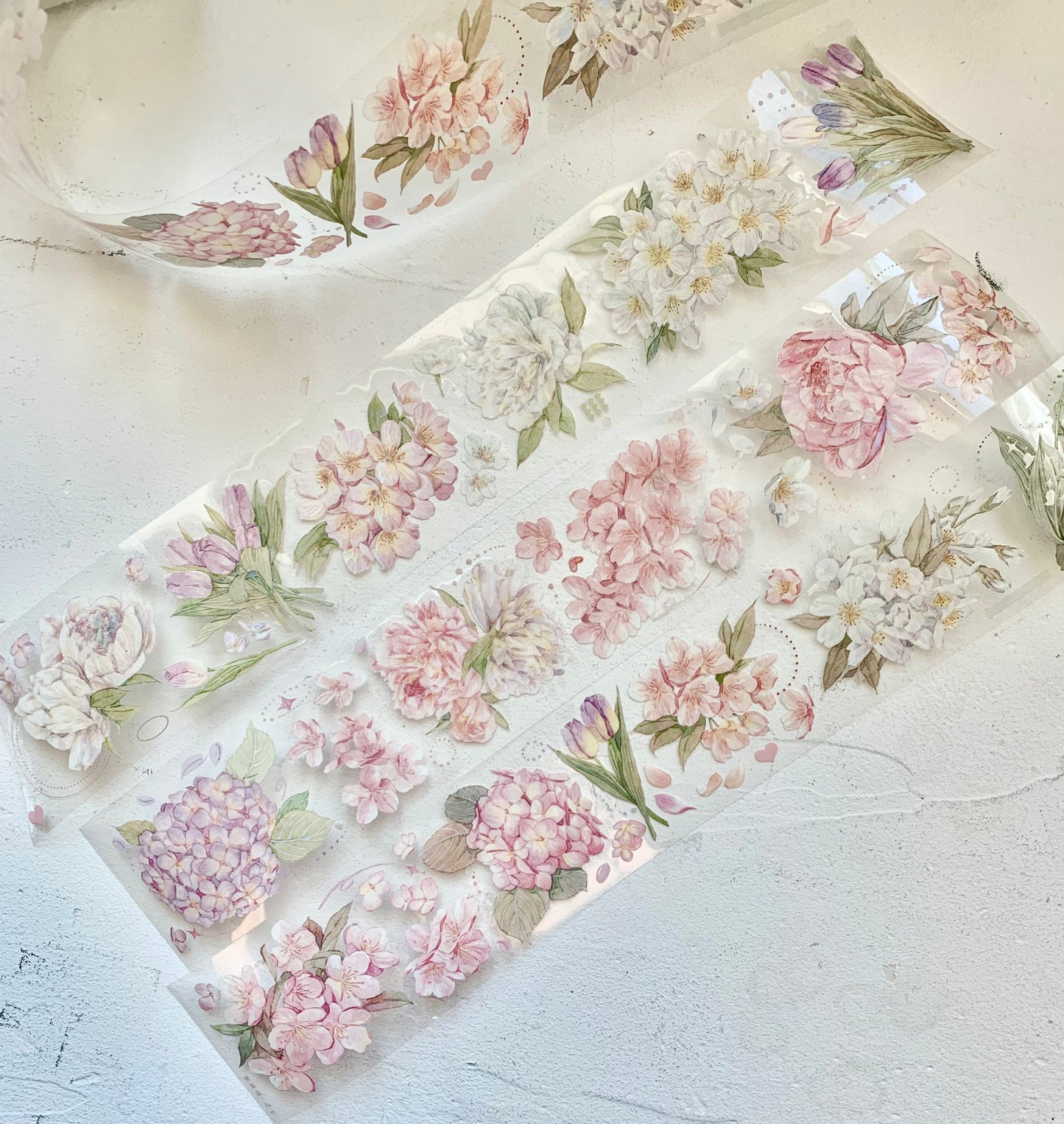 Hakiso Studio - 5.5cm The Wind | Iridescent PET Tape | Release Paper