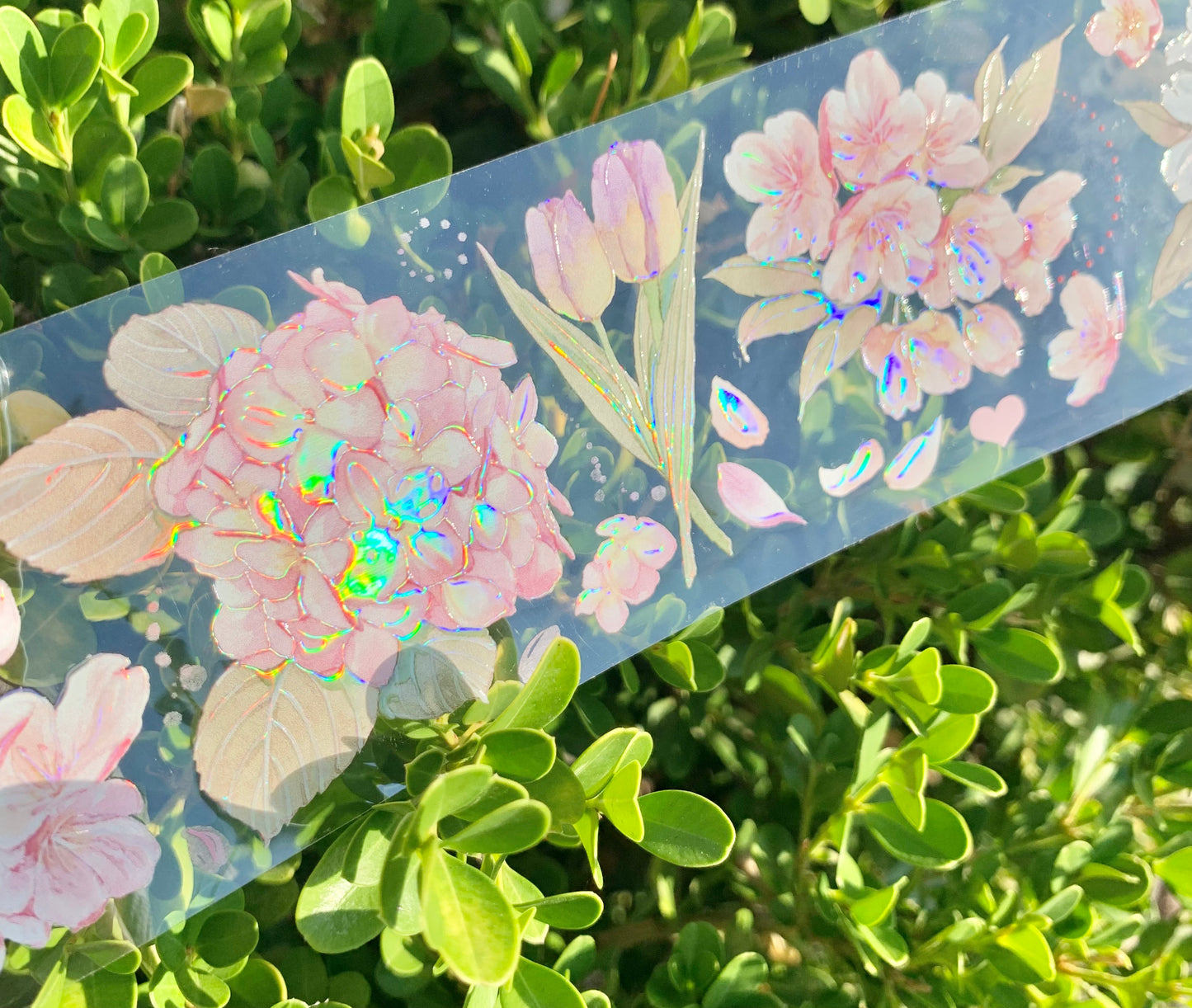 Hakiso Studio - 5.5cm The Wind | Iridescent PET Tape | Release Paper