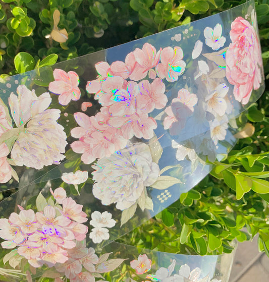 Hakiso Studio - 5.5cm The Wind | Iridescent PET Tape | Release Paper