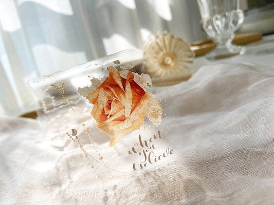 MOSSWOOD - 6cm Sunset Avenue | Release Paper