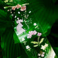 NEW! Muzishan Studio - My heart is a blooming garden | Kiss-cut | 5cm Tape | Release Paper | 5.65M