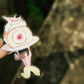 NEW! Muzishan Studio - Sweetness | Kiss-cut | 4.5cm Tape | Release Paper | 5.65M