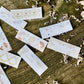 NEW! Muzishan Studio - Green Whispers | Tear-Off | 5.5cm Paper Tape | Release Paper | 3.1M