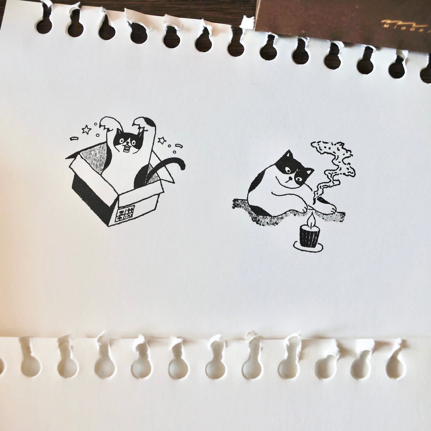 Two Raccoons - Everyday Cat Drama | Wooden Box | 4pcs Rubber Stamp Set