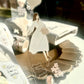Lu Yu Studio -Little Break | Kiss-cut | 5cm Tape | Release Paper | 5M