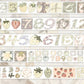 Lu Yu Studio - Numbers | Kiss-cut | 4cm Glitter Tape | Release Paper | 6M