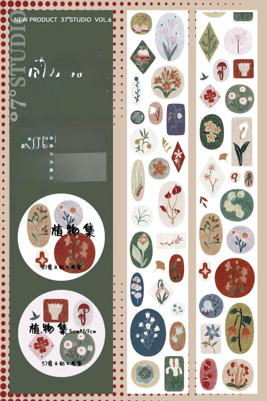 ( ARRIVED! ) 37 Degree -  | Kiss-cut | 5cm Glitter PET Tape | Release Paper | 5M