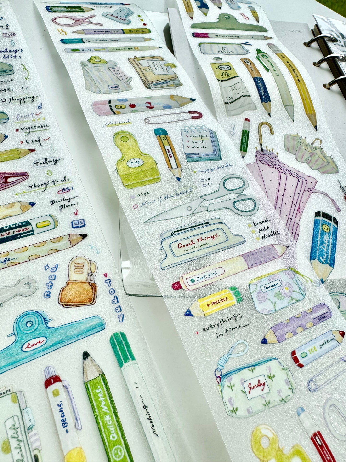 NEW! D.F Studio - Daily Tools | Kiss-cut | 6cm Tape | Release Paper | 5.1M