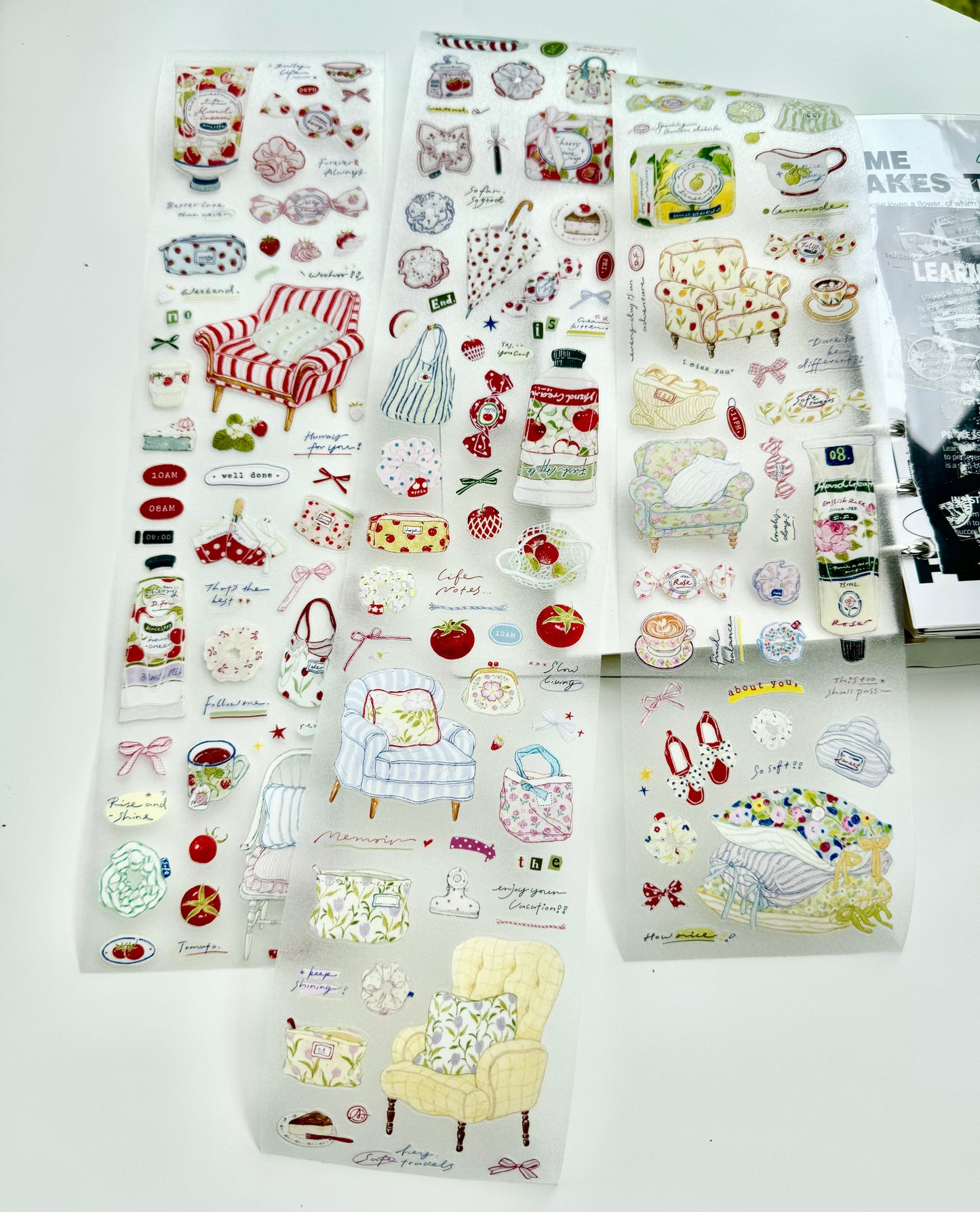 NEW! D.F Studio - Daily Essentials | Kiss-cut | 8cm Tape | Release Paper | 5M