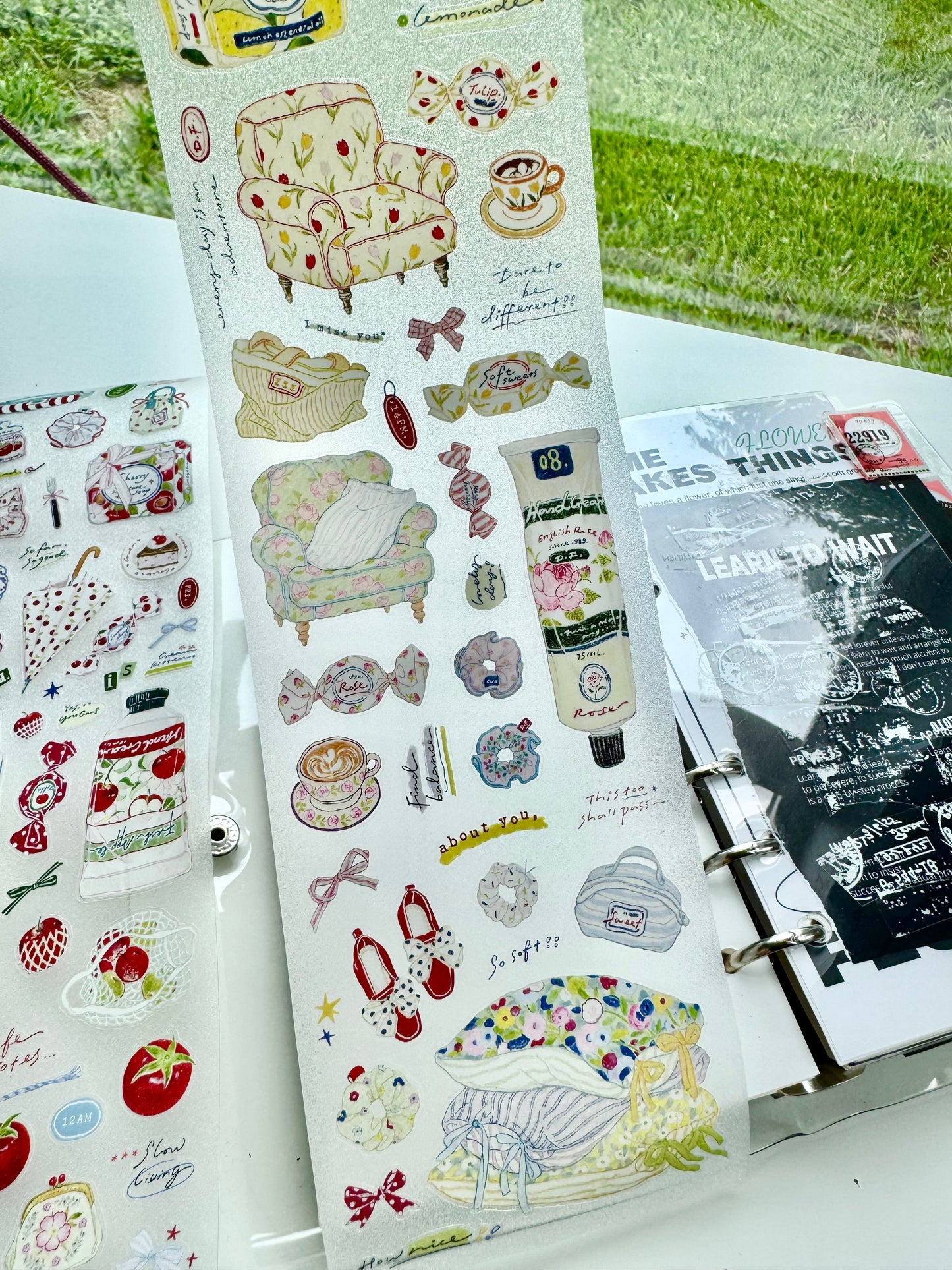 NEW! D.F Studio - Daily Essentials | Kiss-cut | 8cm Tape | Release Paper | 5M