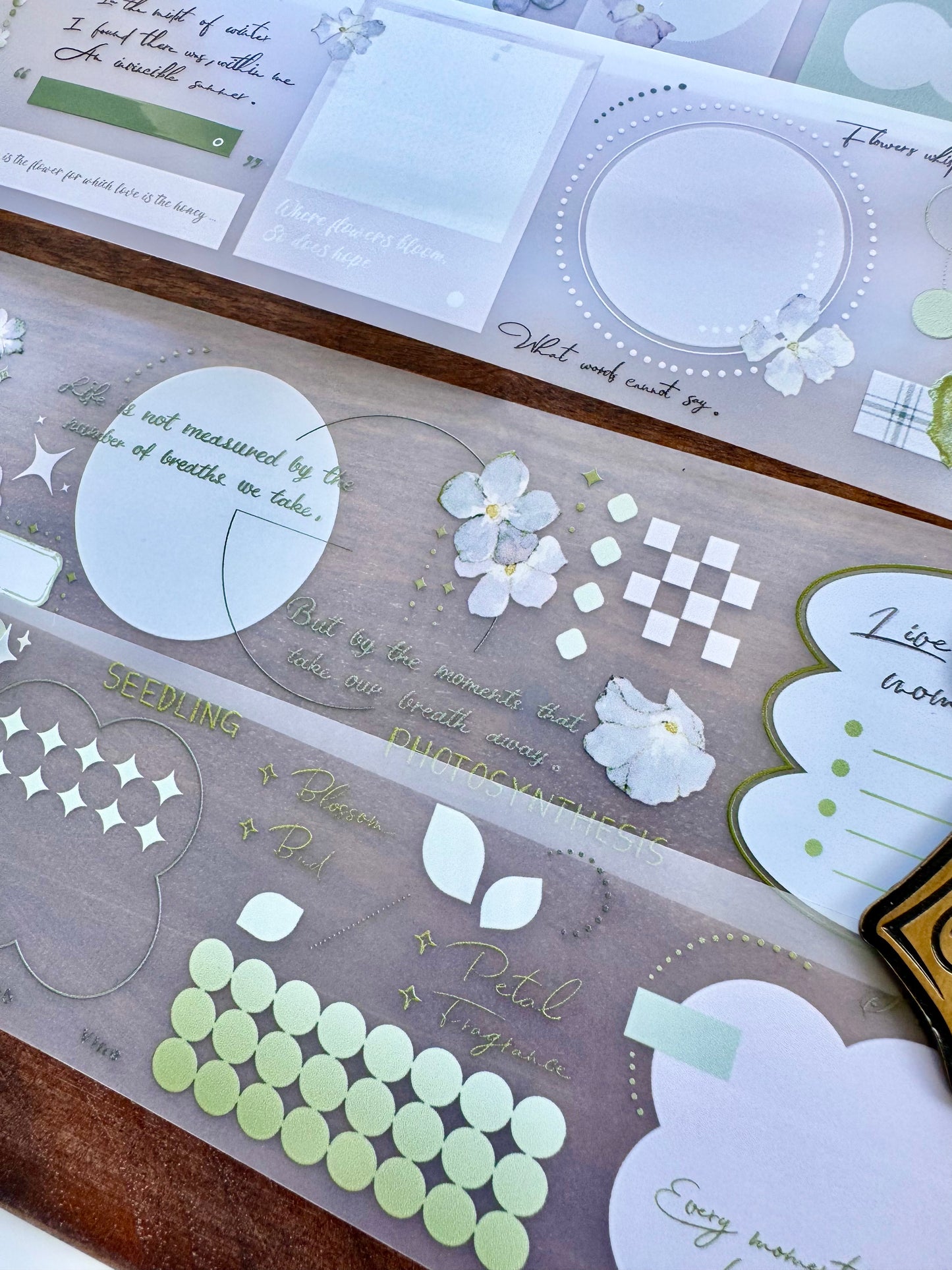 Freckles Tea Vol.4 - Summer Memory | 5cm Tape |  Release Paper | 10M