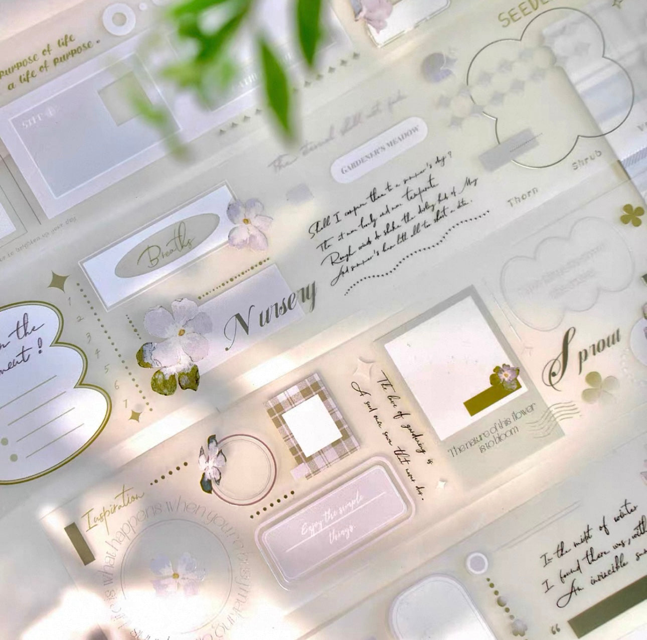 Freckles Tea Vol.4 - Summer Memory | 5cm Tape |  Release Paper | 10M