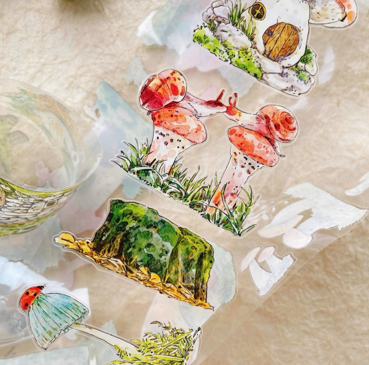 DingDing - A48 Forest Story | Kiss-cut | 8cm PET Tape | Release Paper | 5M