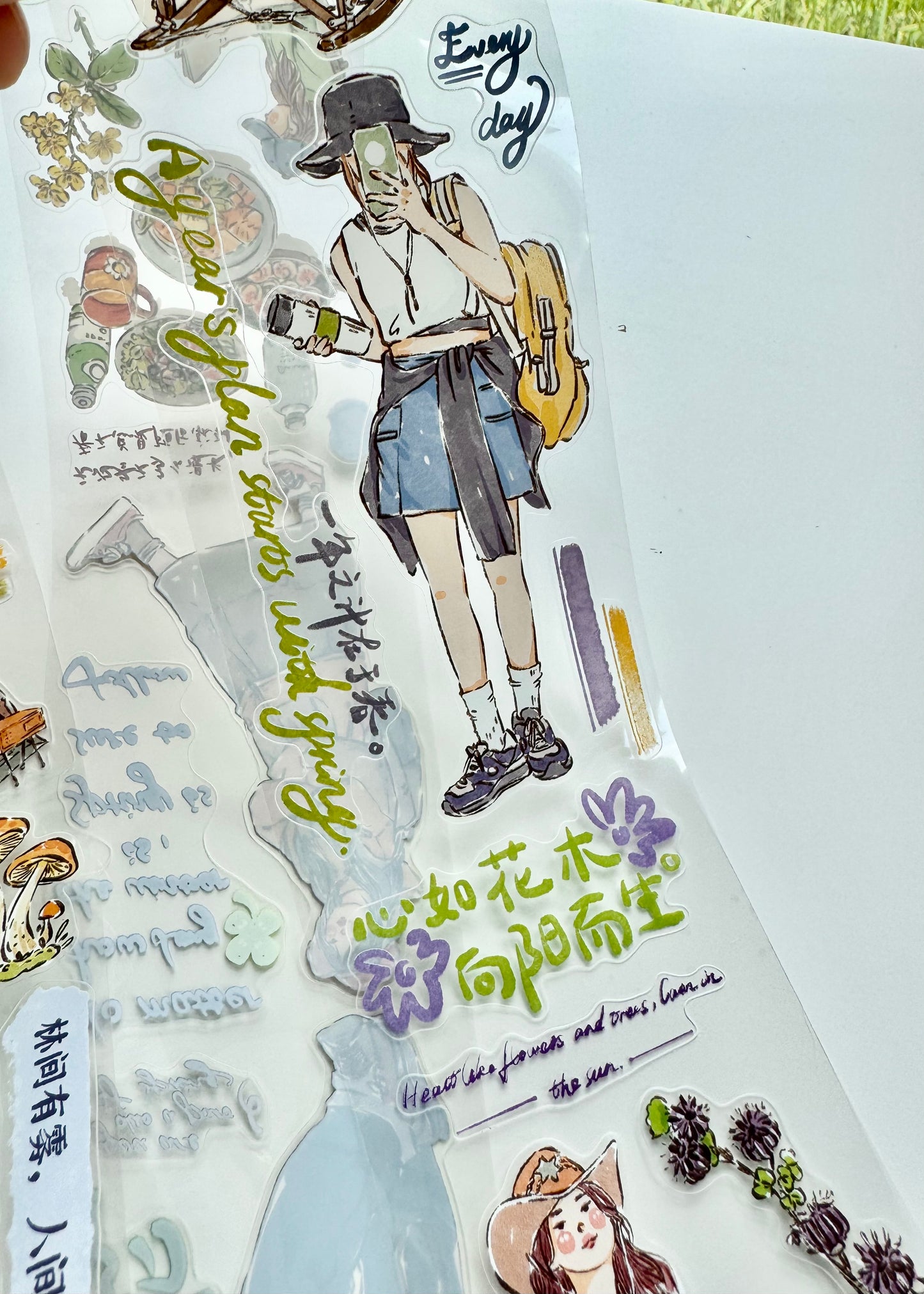 ZYS Studio - Into the Wild | Kiss-cut | 6.5cm PET Tape |  Release Paper | 6M