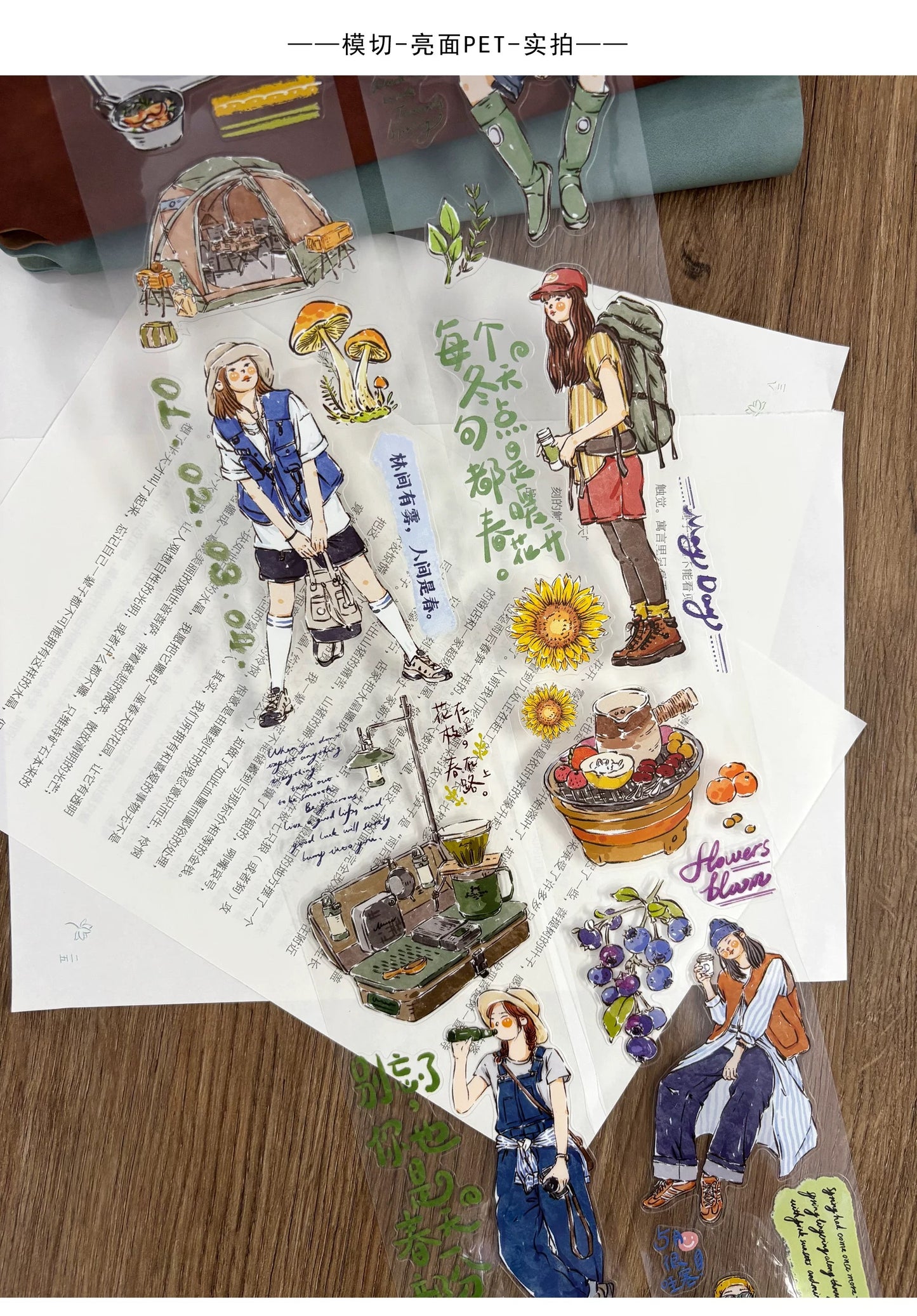 ZYS Studio - Into the Wild | Kiss-cut | 6.5cm PET Tape |  Release Paper | 6M