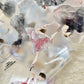 NEW! DingDing - No.41 The Dancer | Kiss-cut | 6.5cm Matte PET Tape |  Release Paper | 10M