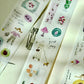 NEW! Pion - Fruit | Kiss-cut | 3.5cm Washi Tape | Release Paper | 5.7M