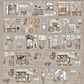 NEW! XBJia Studio - Shop Street | Kiss-cut | 7.5cm Tape | Release Paper | 6M