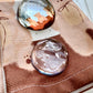 NEW! Xiao Xiao Studio - Bear Glass Paperweight | Desk Decor | Journal Accessories