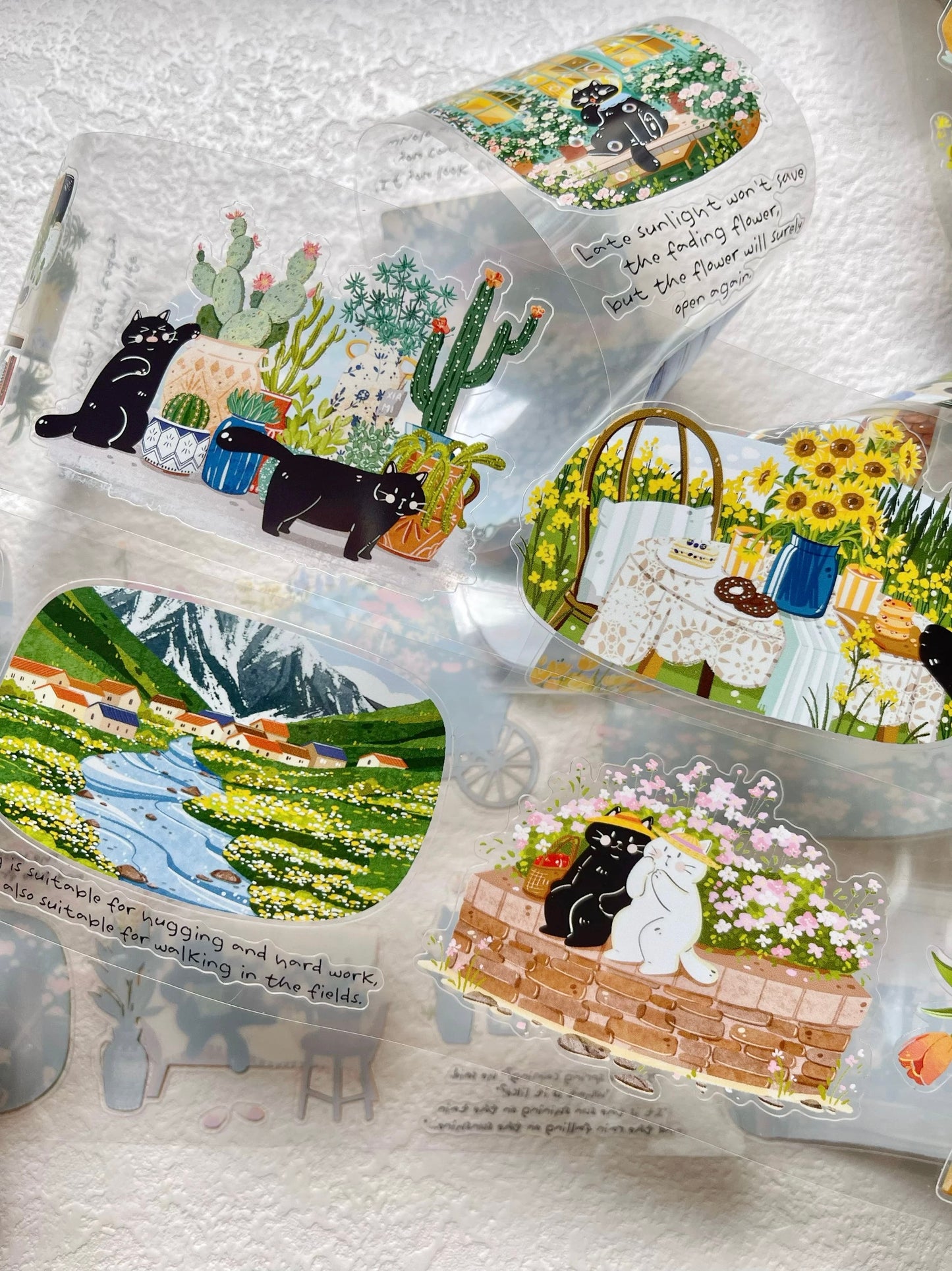 Xiami Studio - Spring Blossom Field | Kiss-cut | 6cm Glossy PET Tape | Release Paper | 5M