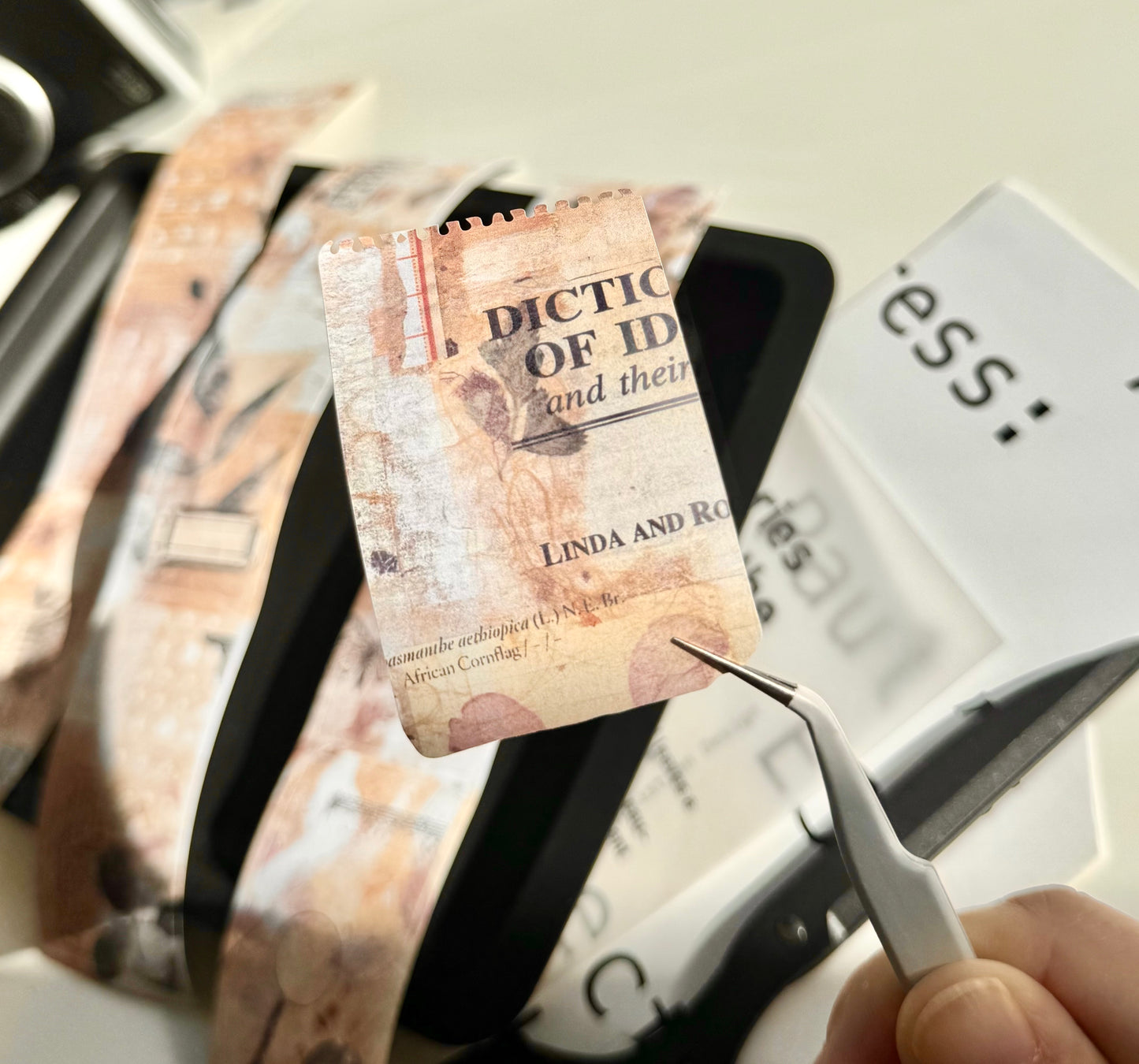 NEW! Qiqiyu Art Studio (QQY) - Vol.10  | Kiss-cut | 4.5cm Writing Paper Tape | Release Paper | 5M