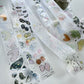 NEW! Princess Studio - Glimmer | Kiss-cut | Silver Foil | 3.5cm PET Tape | Release Paper | 5M
