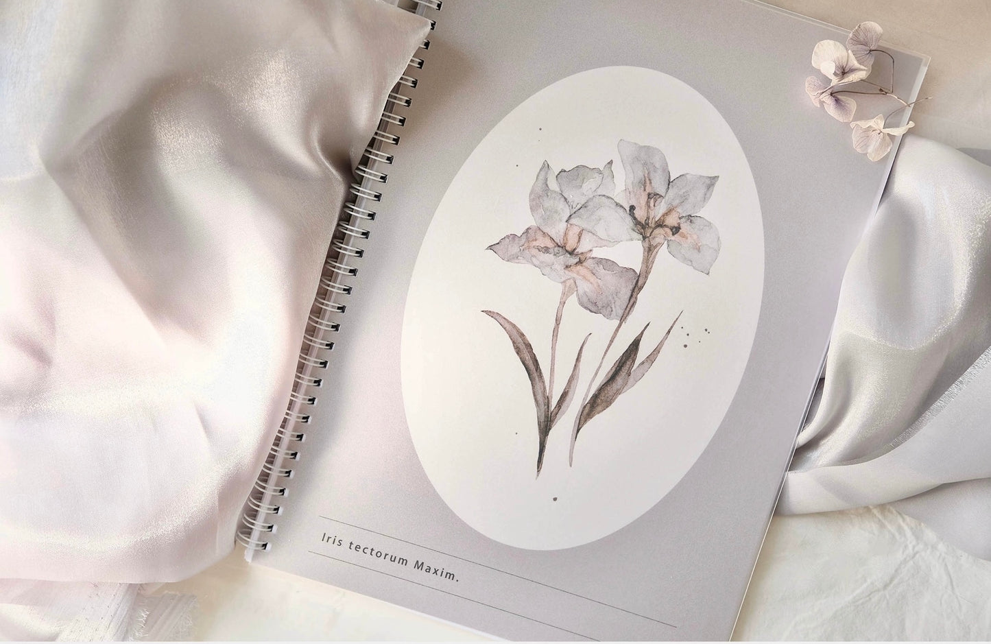 NEW! Freckles Tea - Vol.3 - Release Paper Book | A4 Size | 40 Pages | Journaling Accessories