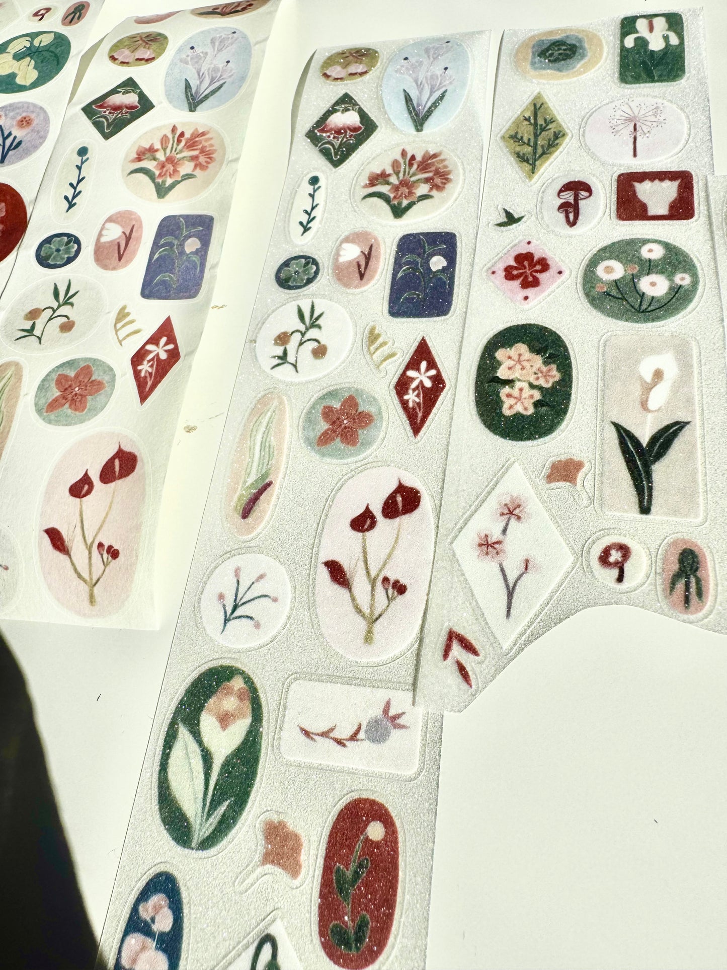 NEW! 37 Degree - Botanical Collection | Kiss-cut | 5cm Tape | Release Paper | 5M