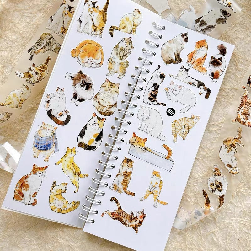 NEW! DingDing - A62 Cats | Kiss-cut | 3cm PET Tape | Release Paper | 6M