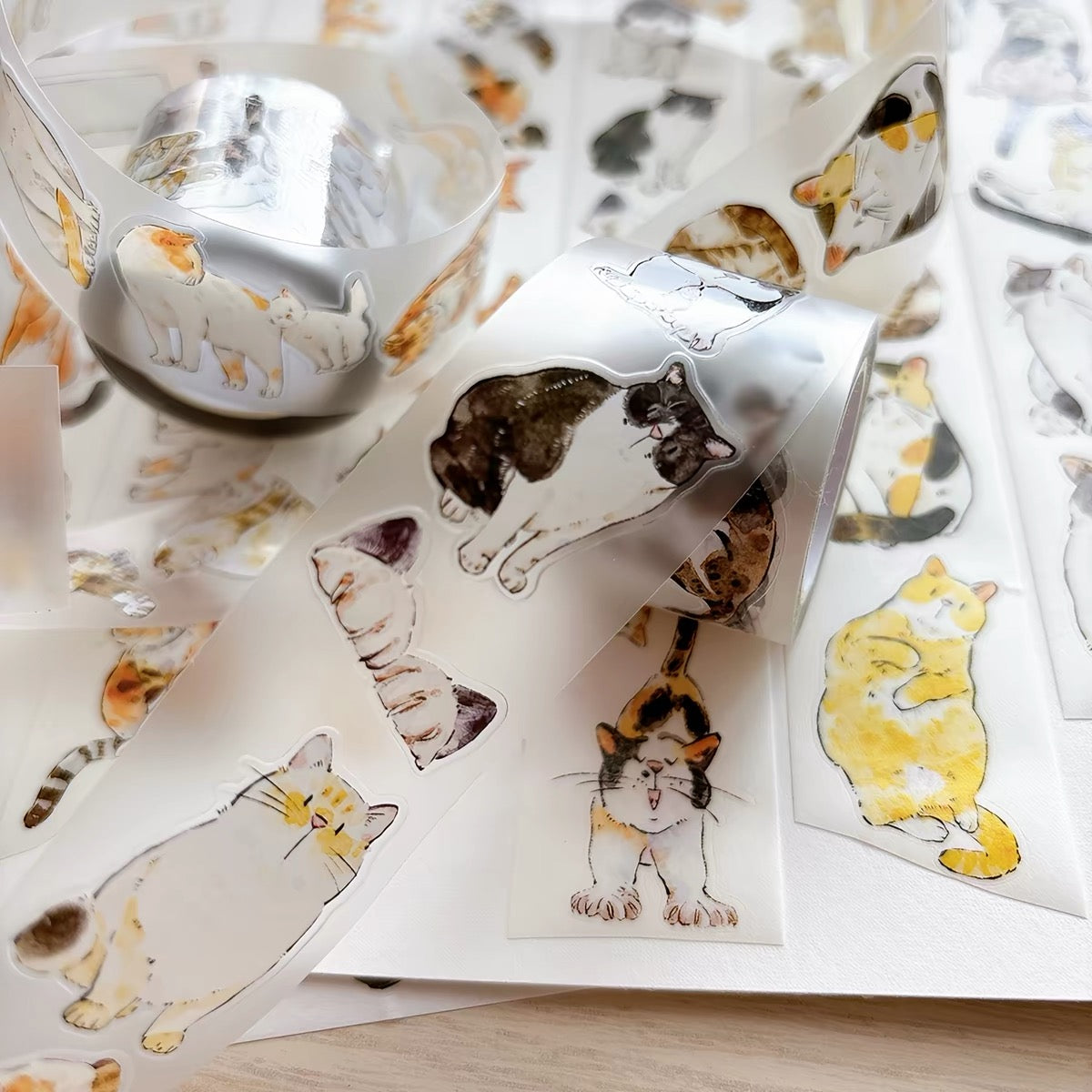 NEW! DingDing - A62 Cats | Kiss-cut | 3cm PET Tape | Release Paper | 6M