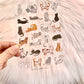 NEW! Wanle Studio  - Vol.10 Cats | Kiss-cut 2 Sheets PET Sticker