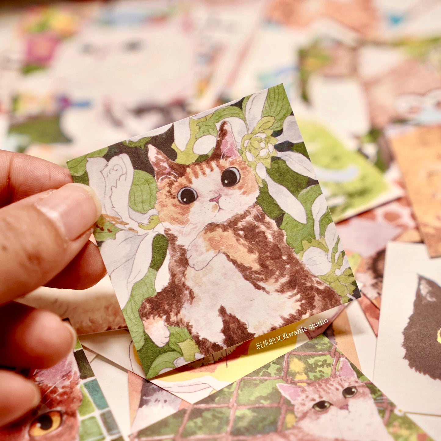 NEW! Wanle Studio - Vol.10 Cat Date | 62 pcs Memo Pad | Ephemera Paper