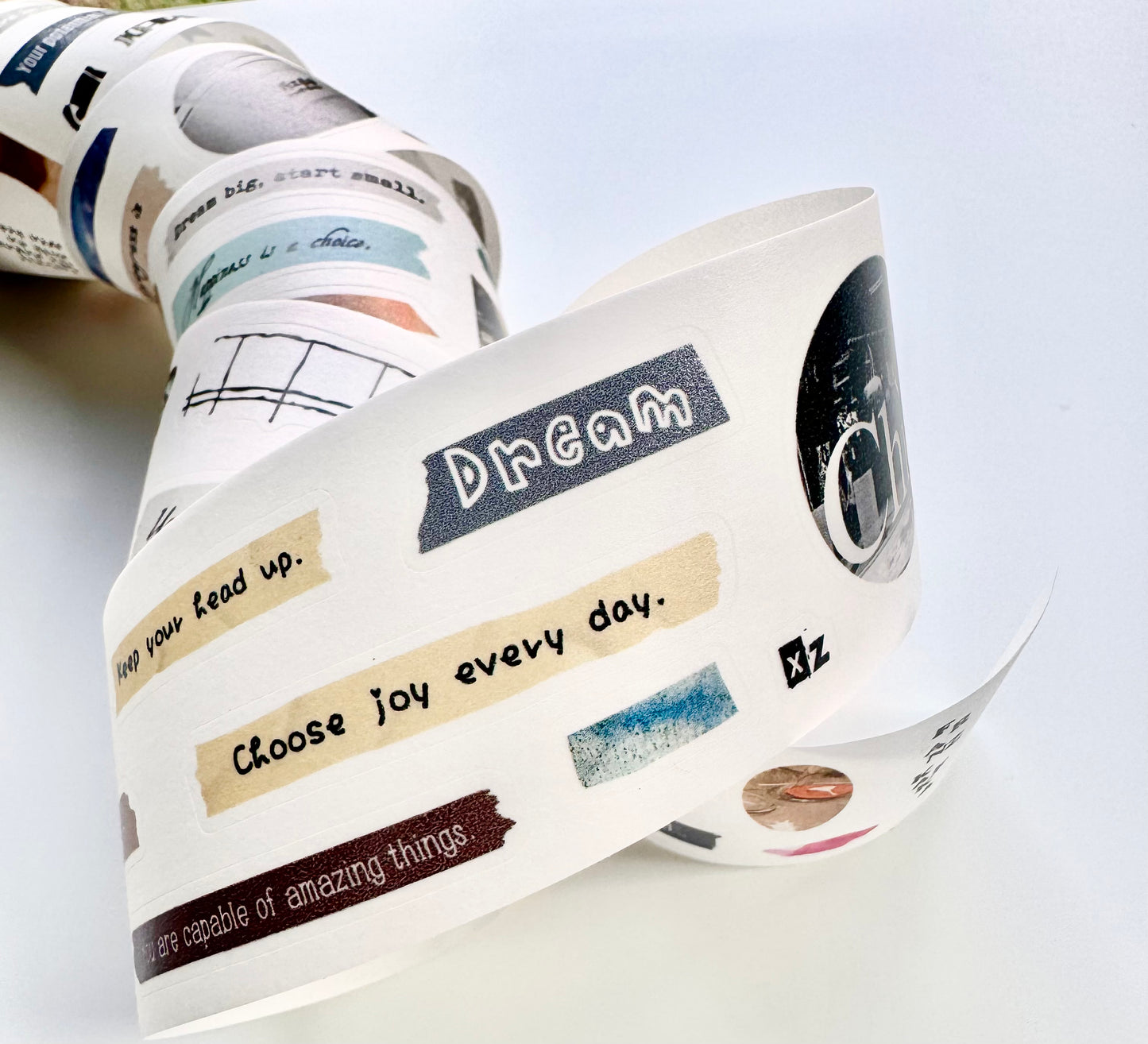 NEW! Two Raccoons -Chill | Kiss-cut | 4cm Washi Tape | Release Paper | 5M