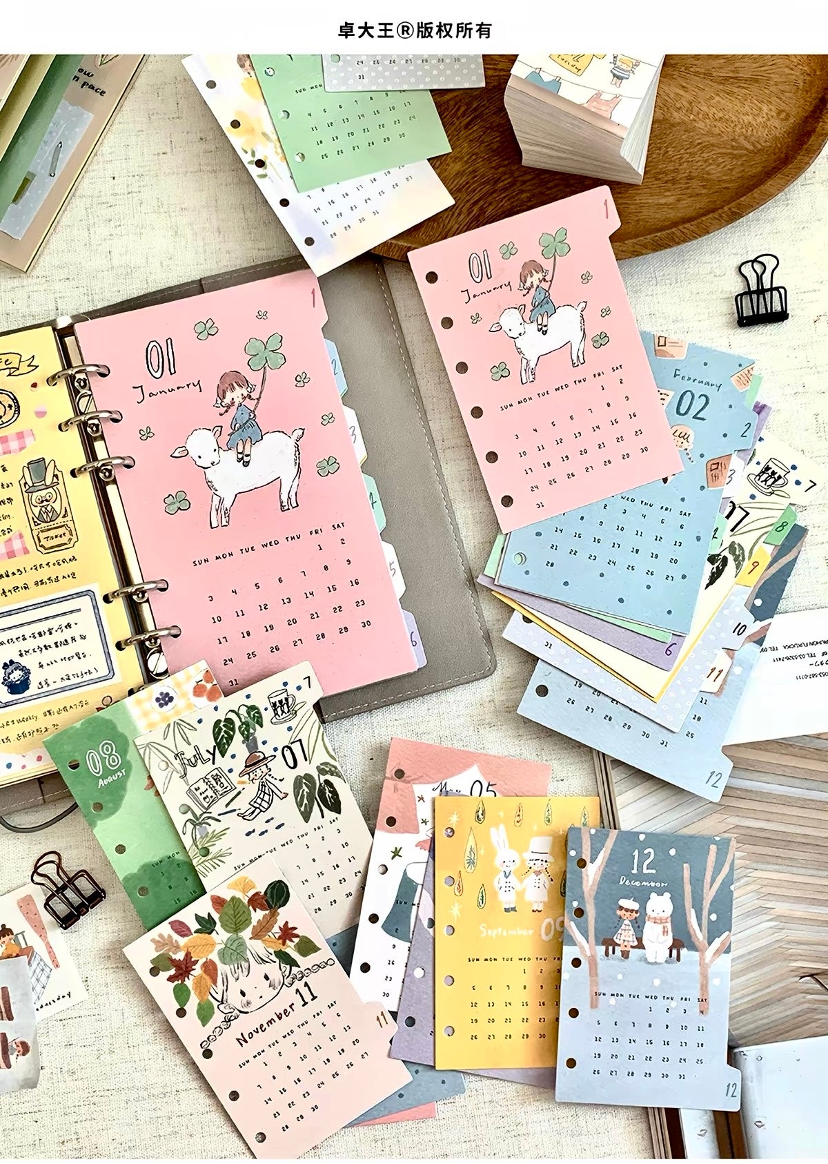 NEW! Molinta - 2027 Divider | Double-sided Design | Pre-punched Holes | 12 Sheet | M5/ A7 / A6 Personal | Journaling Accessories