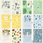 NEW! Molinta - 2027 Divider | Double-sided Design | Pre-punched Holes | 12 Sheet | M5/ A7 / A6 Personal | Journaling Accessories