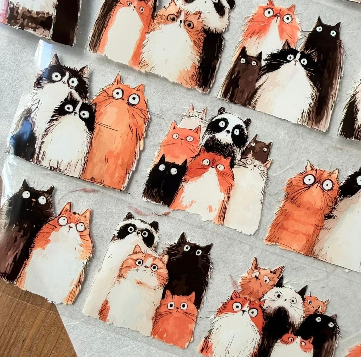 NEW! Neverland - Stunned Cat | 5.5cm PET Tape | Release Paper | 10M