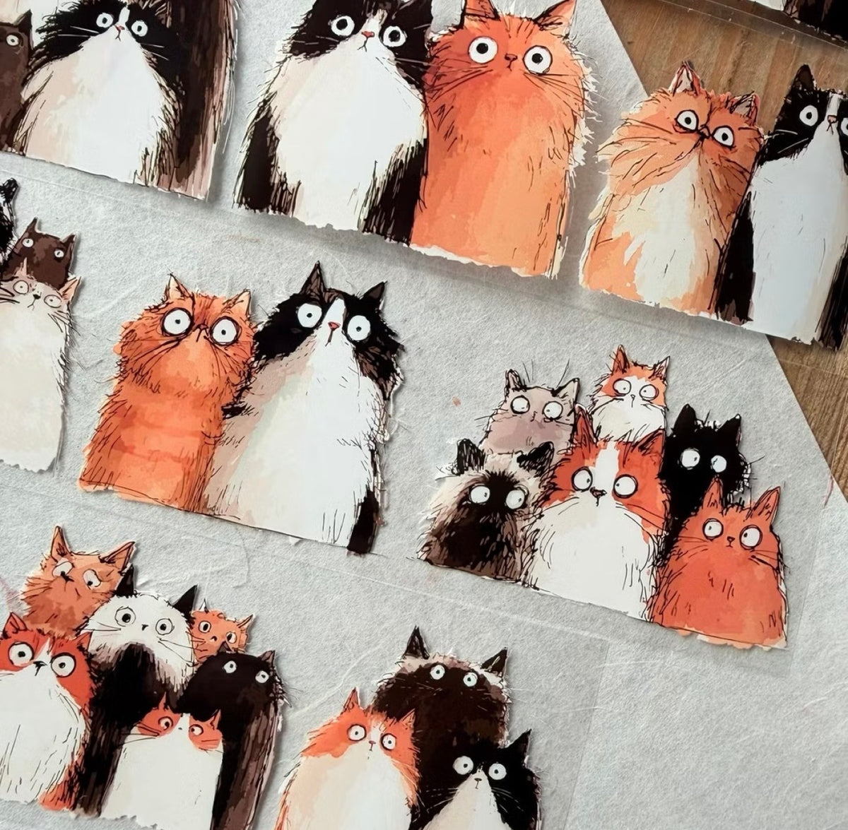 NEW! Neverland - Stunned Cat | 5.5cm PET Tape | Release Paper | 10M